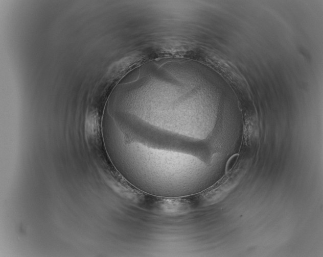 X0000111360623200907171205