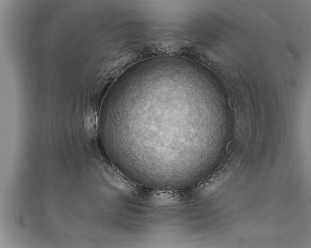 X0000111360624200907171205