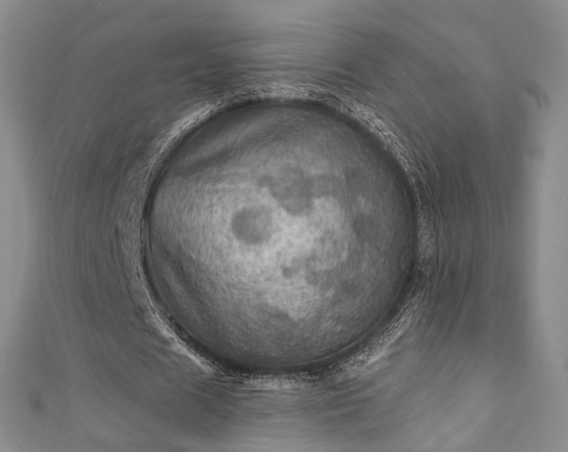 X0000111360625200907171204