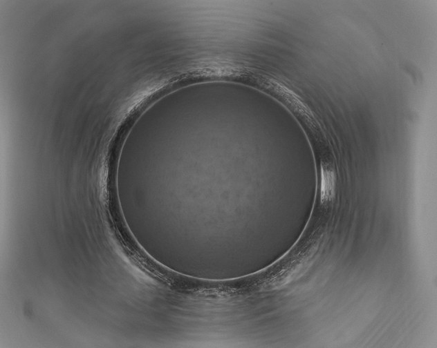 X0000111360627200907171204