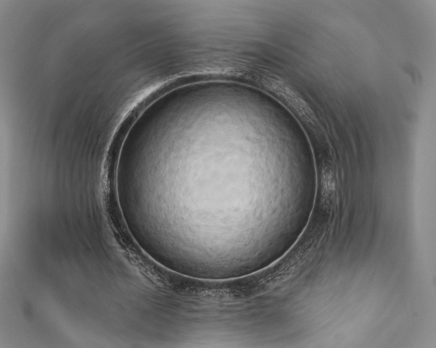 X0000111360628200907171204