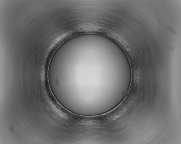 X0000111360629200907171204
