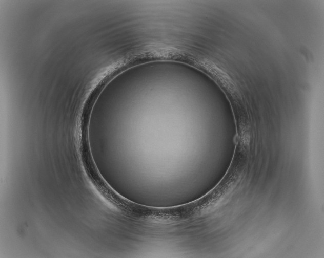 X0000111360630200907171204