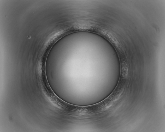 X0000111360631200907171204