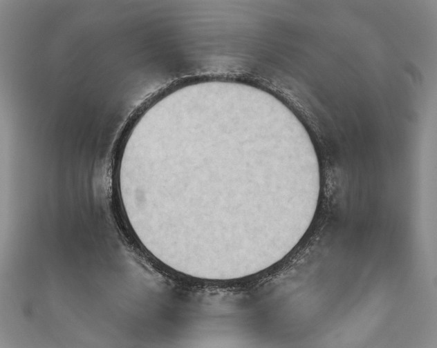X0000111360632200907171204
