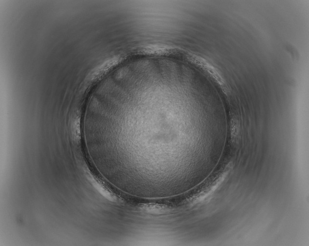 X0000111360633200907171204