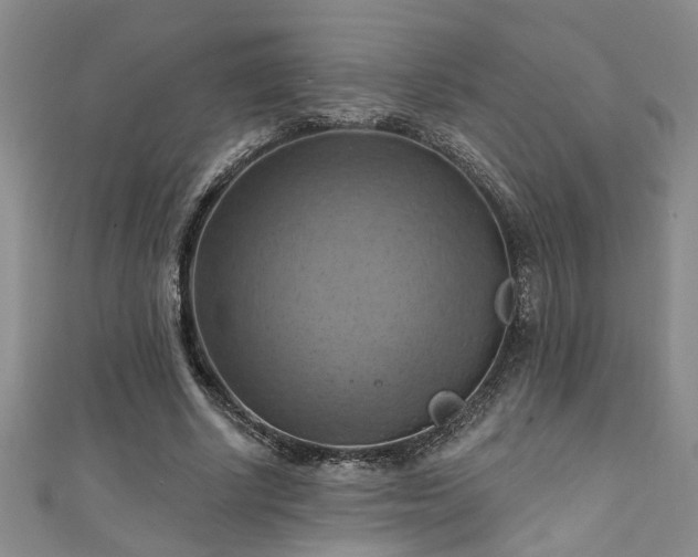 X0000111360634200907171204
