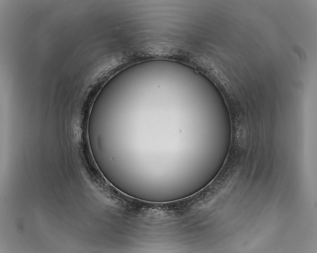 X0000111360635200907171204