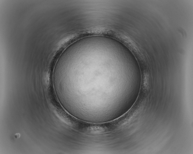 X0000111360636200907171204