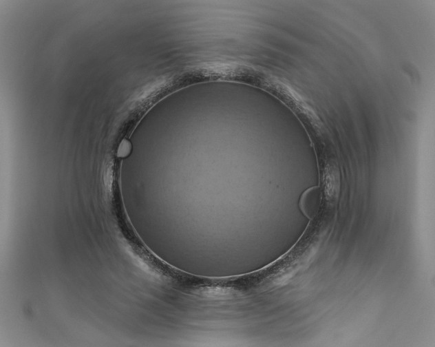 X0000111360637200907171204