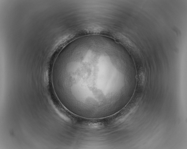 X0000111360638200907171204
