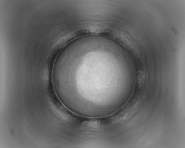 X0000111360639200907171204