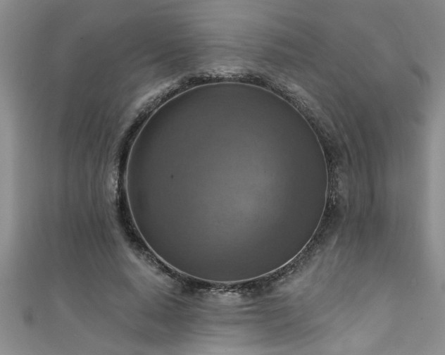 X0000111360640200907171204