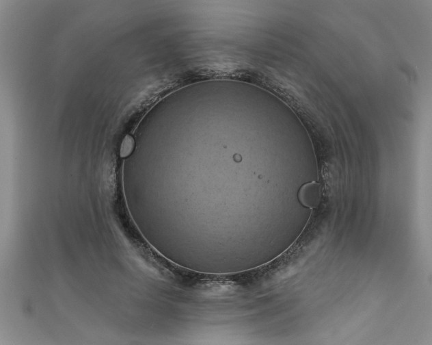 X0000111360642200907171205