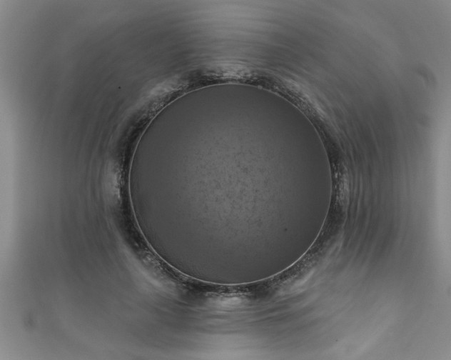 X0000111360643200907171205