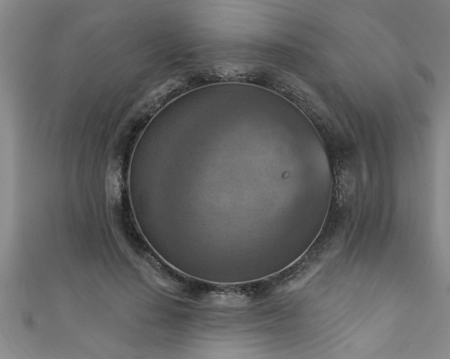 X0000111360644200907171205