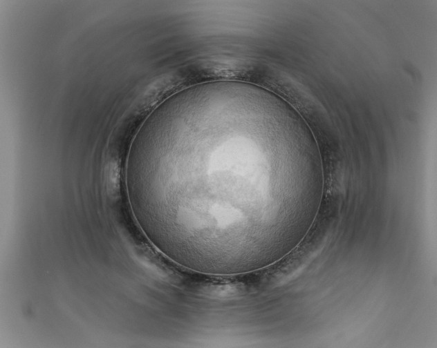 X0000111360646200907171205