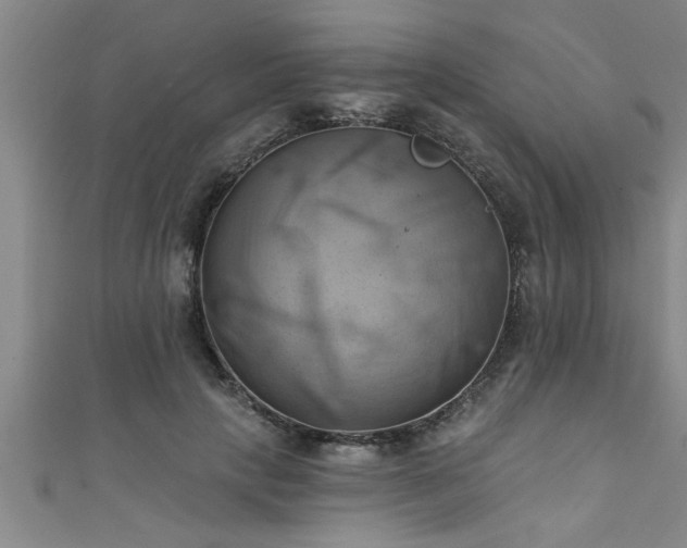 X0000111360649200907171205