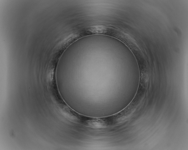 X0000111360652200907171205