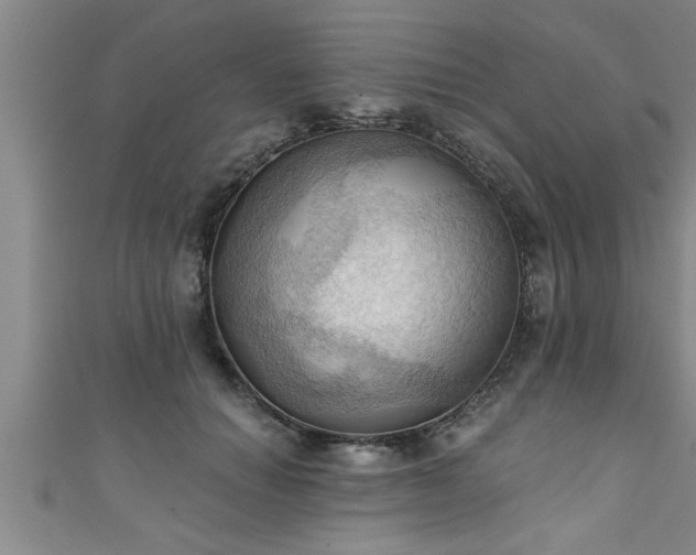 X0000111360654200907171205