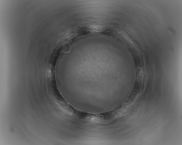 X0000111360655200907171205