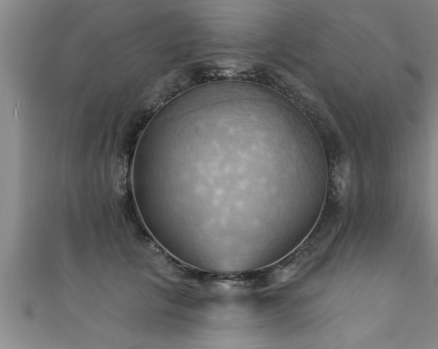 X0000111360657200907171205