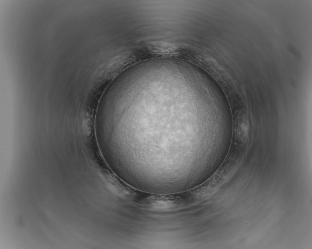 X0000111360658200907171205