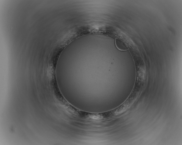 X0000111360659200907171205