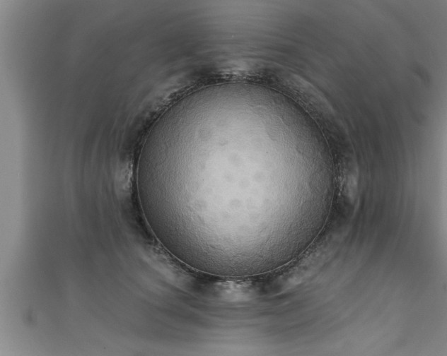 X0000111360660200907171205
