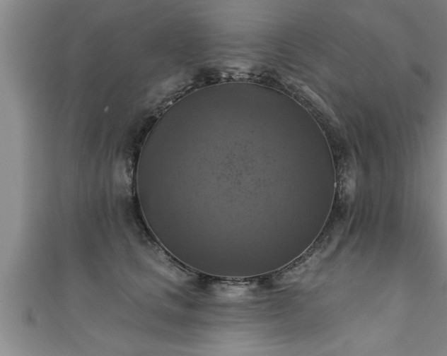 X0000111360661200907171205