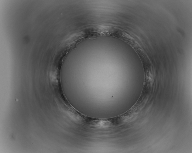 X0000111360663200907171205