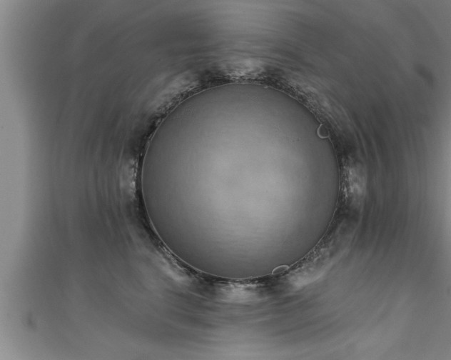 X0000111360664200907171205