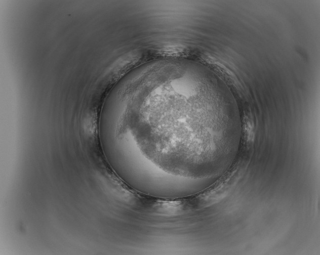 X0000111360665200907171205