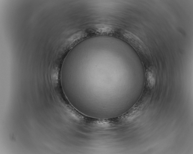 X0000111360668200907171205