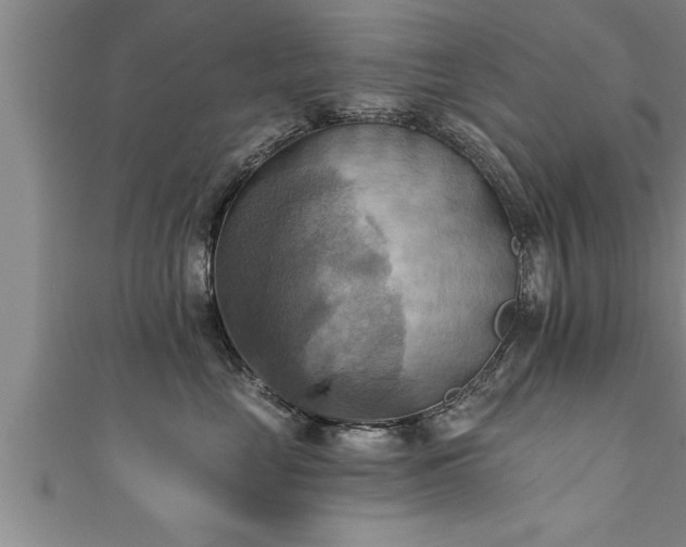 X0000111360669200907171205