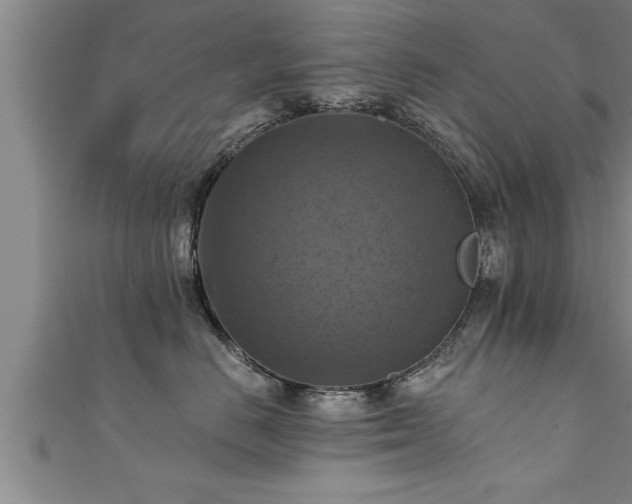 X0000111360670200907171205