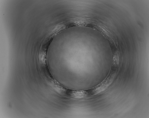 X0000111360671200907171205