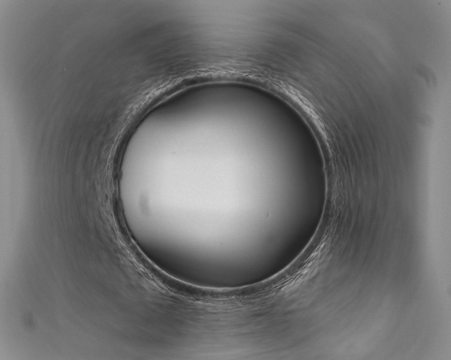 X0000111360673200907171204