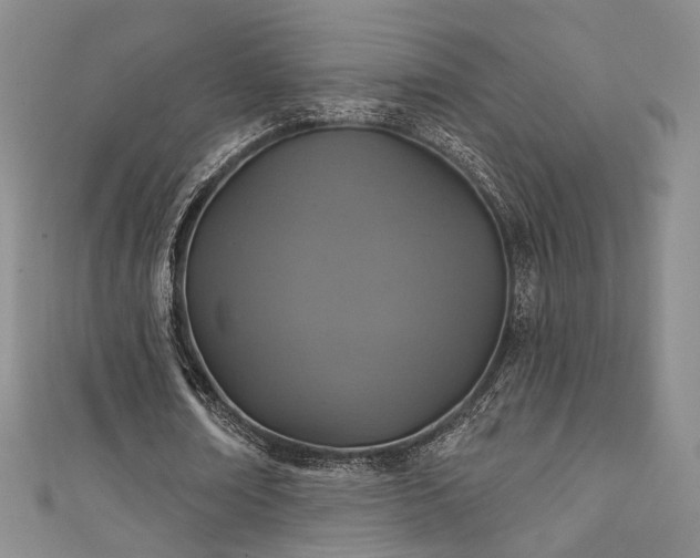 X0000111360674200907171204