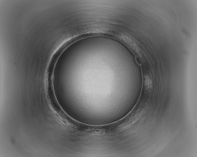 X0000111360676200907171204