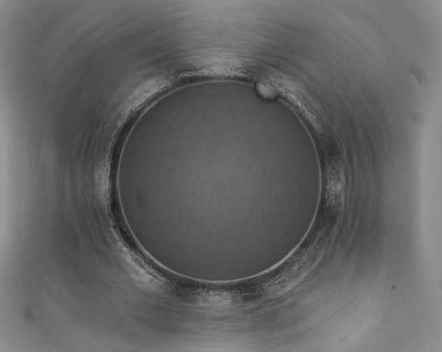 X0000111360677200907171204