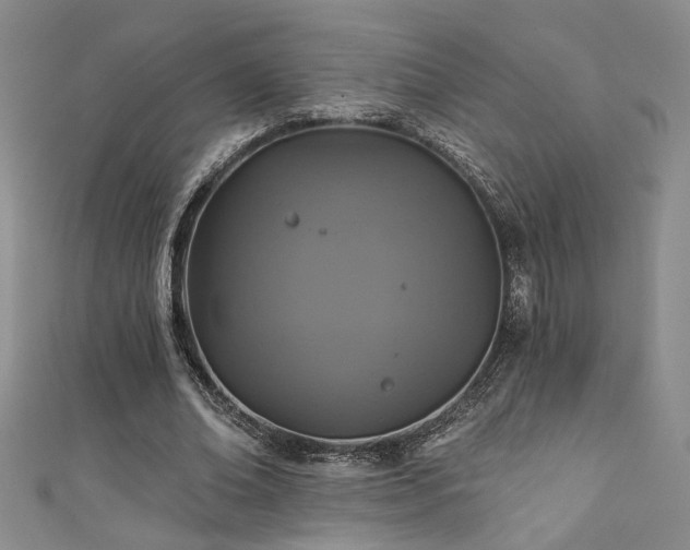 X0000111360678200907171204