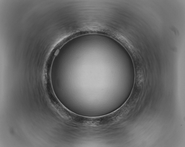 X0000111360680200907171204