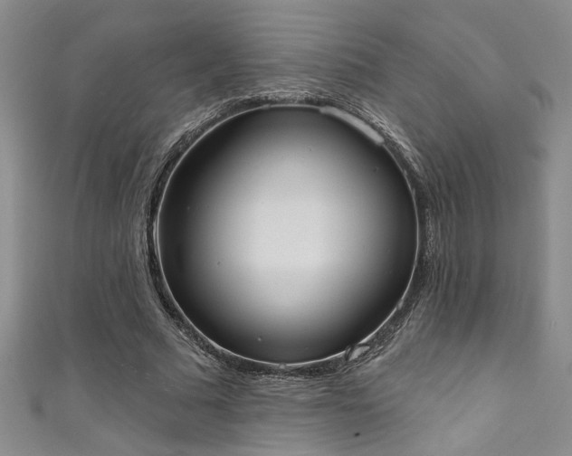X0000111360681200907171204