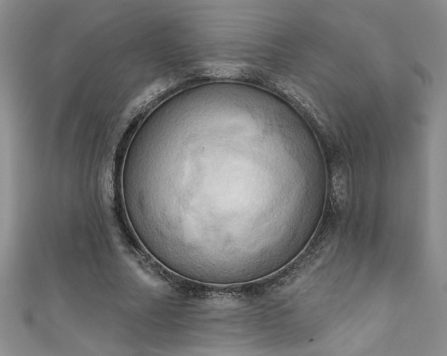 X0000111360682200907171204