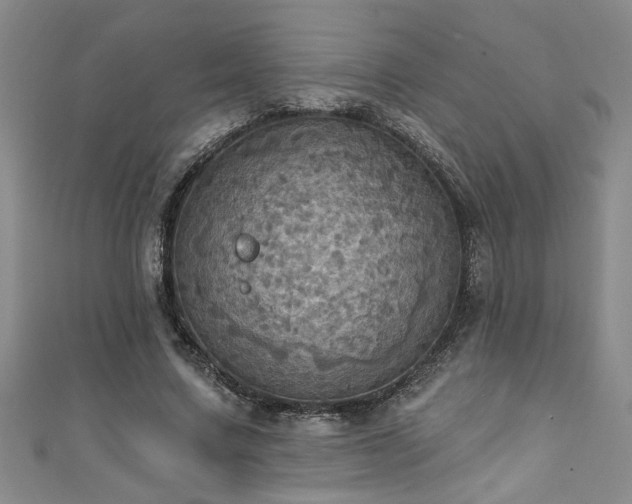 X0000111360683200907171204