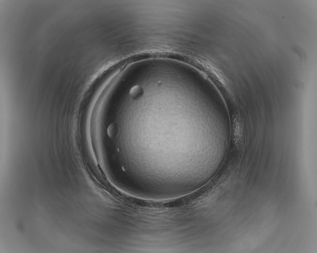 X0000111360684200907171204