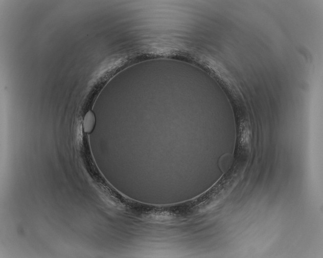 X0000111360685200907171204