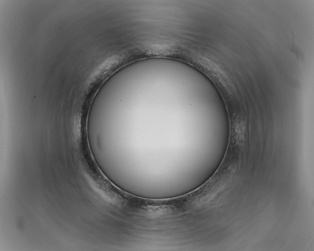 X0000111360686200907171204