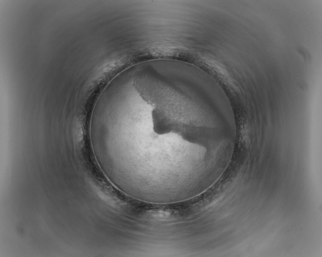 X0000111360687200907171204